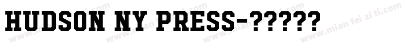 Hudson NY Press字体转换